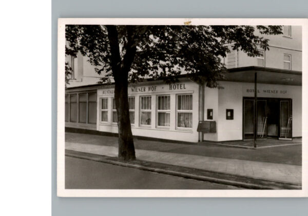 Bad Harzburg Hotel - Restaurant Wiener Hof