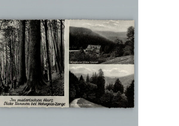 Hohegeiss Harz