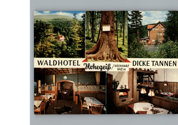 Hohegeiss Harz Hotel Dicke Tannen