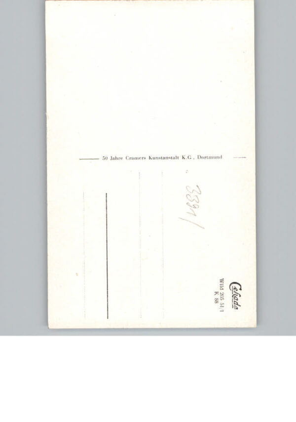 Wildemann Schwimmbad – Bild 2