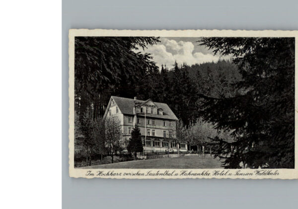 Lautenthal Harz Hotel - Pension Waldkater