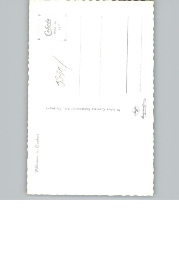 Wildemann – Bild 2