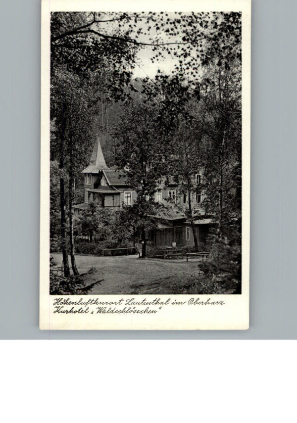 Lautenthal Harz Hotel Waldschloesschen