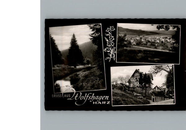 Wolfshagen Harz