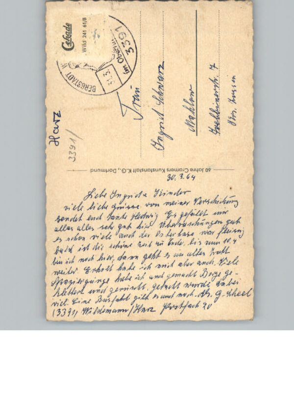 Wildemann – Bild 2