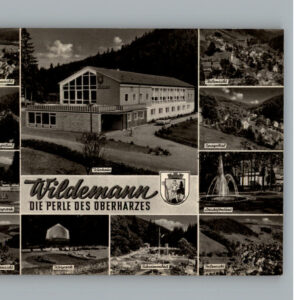 Wildemann