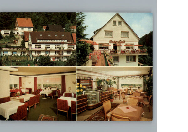 Altenau Harz Hotel - Pension Bergquell