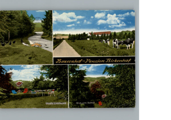 Bruentorf Pension Birkenhof
