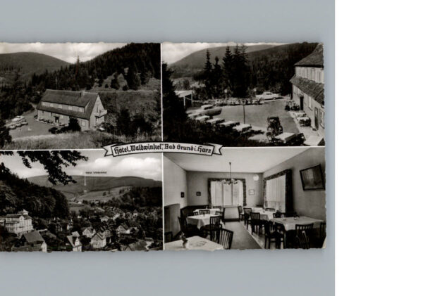 Bad  Grund Hotel Waldwinkel
