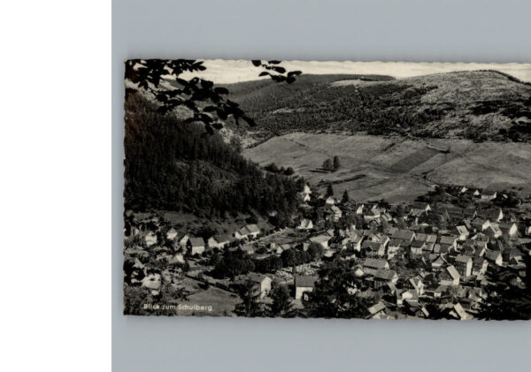 Lautenthal Harz Luftaufnahme