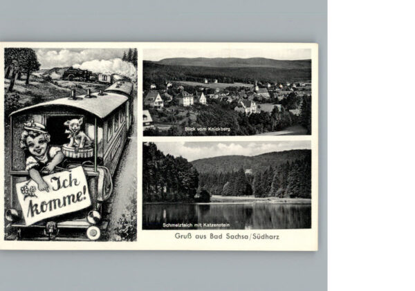 Bad Sachsa Harz