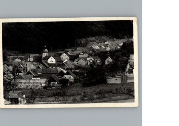 Steina Suedharz