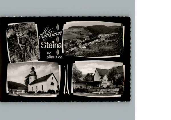 Steina Suedharz