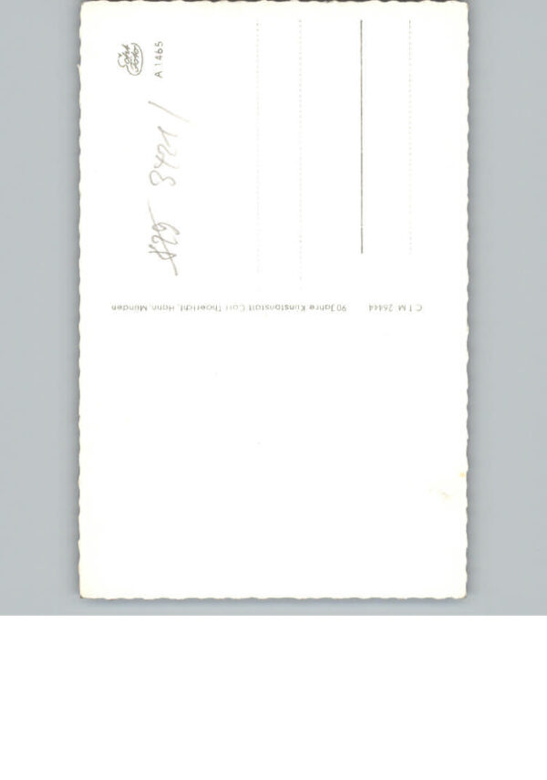 Steina Suedharz – Bild 2