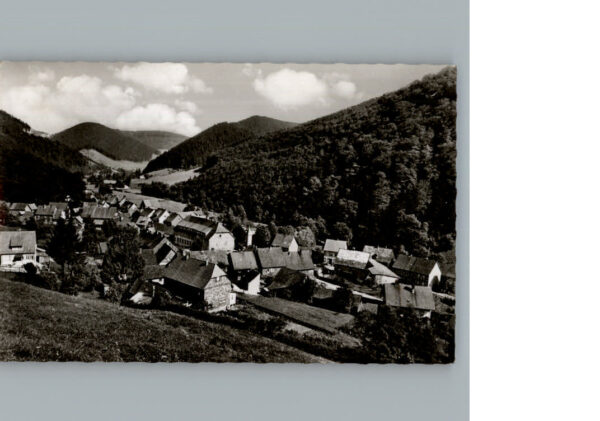 Sieber