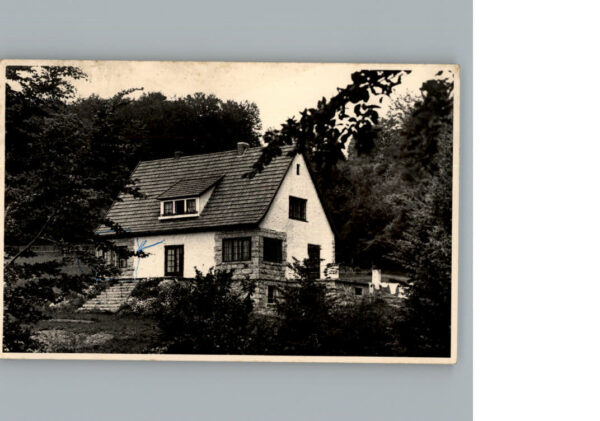 Steina Suedharz