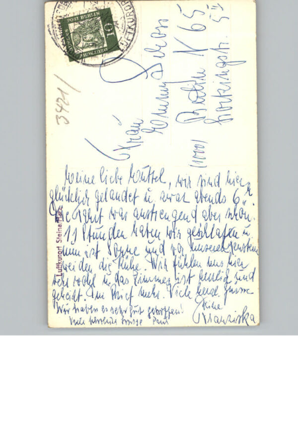Steina Suedharz – Bild 2
