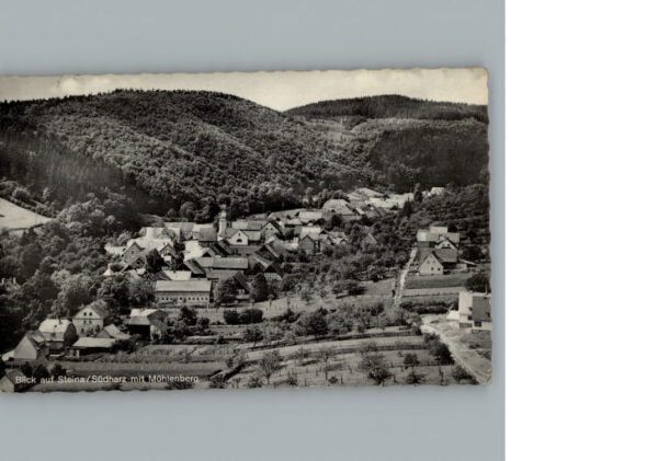Steina Suedharz