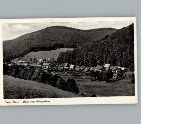 Sieber