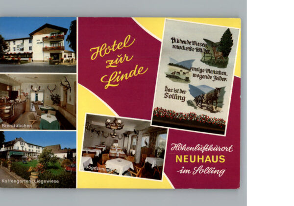 Neuhaus Solling Hotel zur Linde