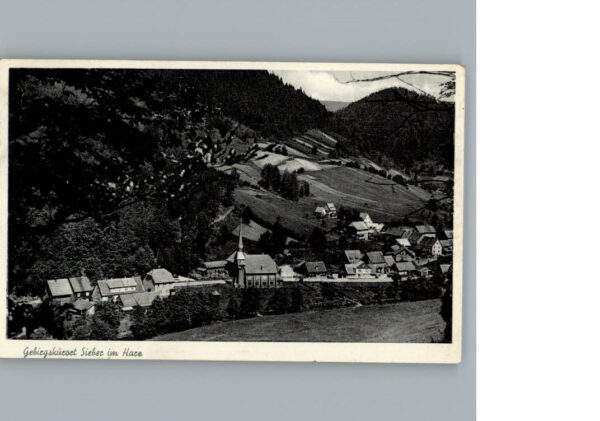 Sieber