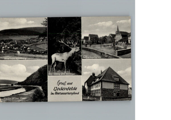 Bodenfelde