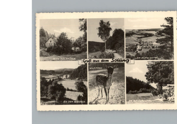 Northeim