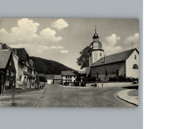 Steina Suedharz