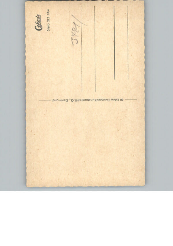 Steina Suedharz – Bild 2
