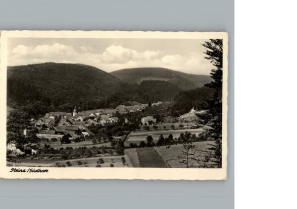 Steina Suedharz
