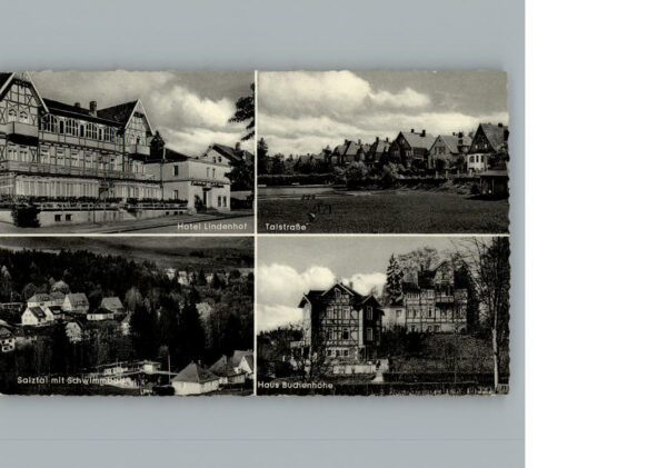 Bad Sachsa Harz Hotel Lindenhof Schwimmbad