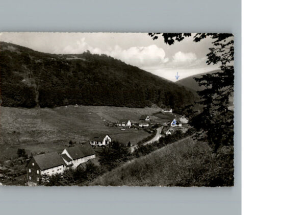 Lonau