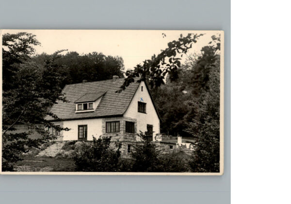 Steina Suedharz