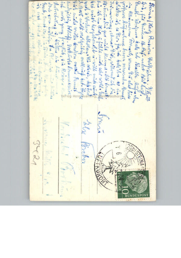 Steina Suedharz – Bild 2
