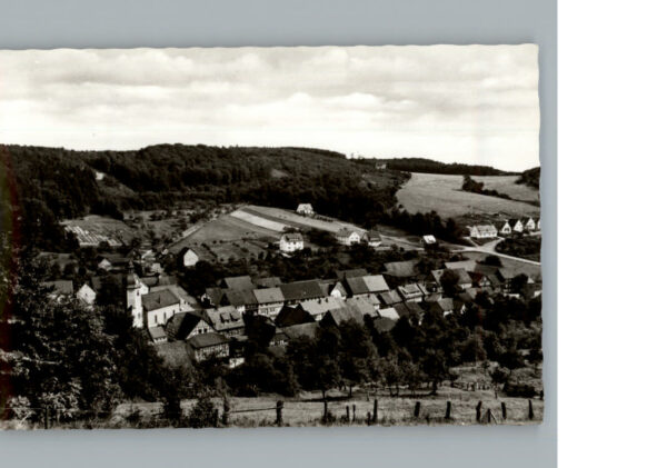 Steina Suedharz