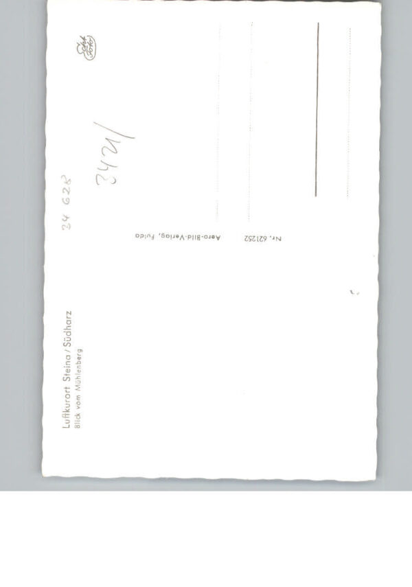Steina Suedharz – Bild 2