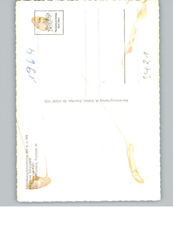 Barbis – Bild 2
