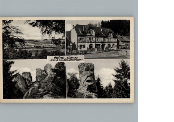 Steina Suedharz Hotel Roemerstein