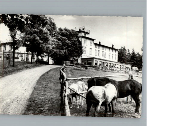 Wieda Berghotel Stoeberhai