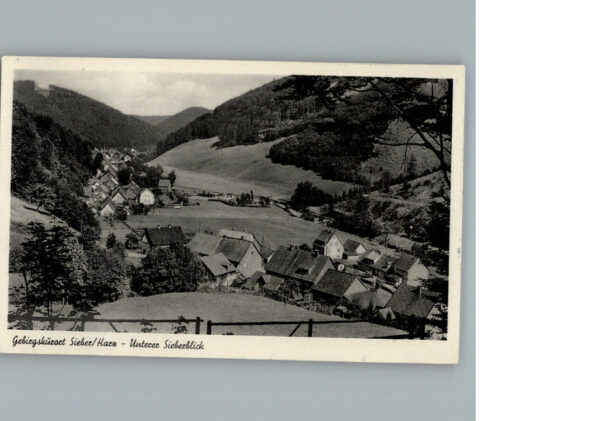 Sieber