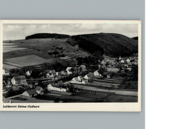 Steina Suedharz