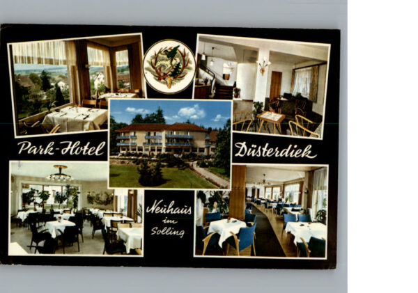 Neuhaus Solling Hotel Duesterdiek