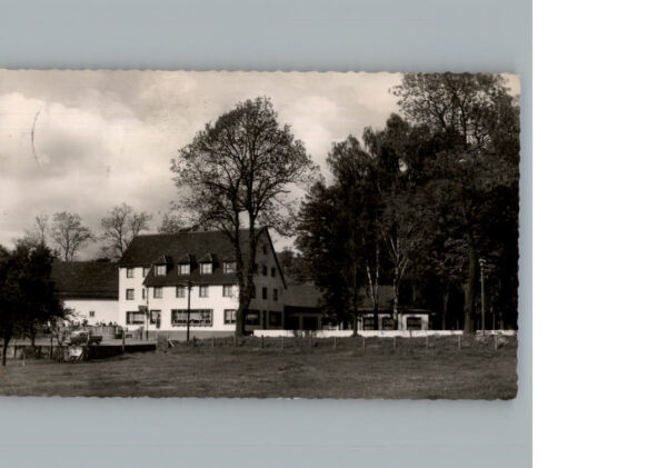 Holzminden Weser Hotel gruener Jaeger