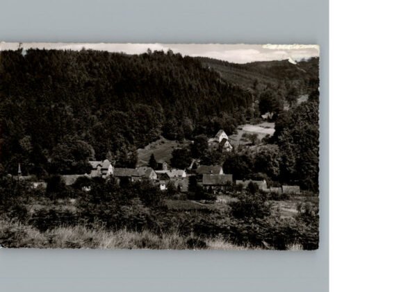 Muehlenberg