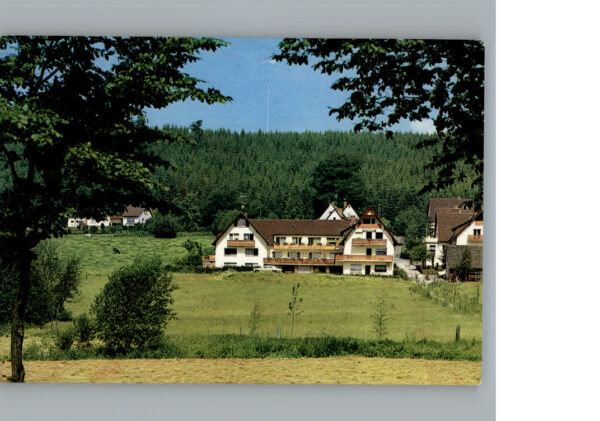 Neuhaus Solling Hotel Schwalbenhof