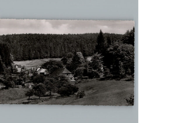 Fohlenplacken