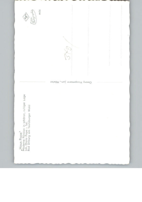 Bad  Driburg Haus Pape – Bild 2