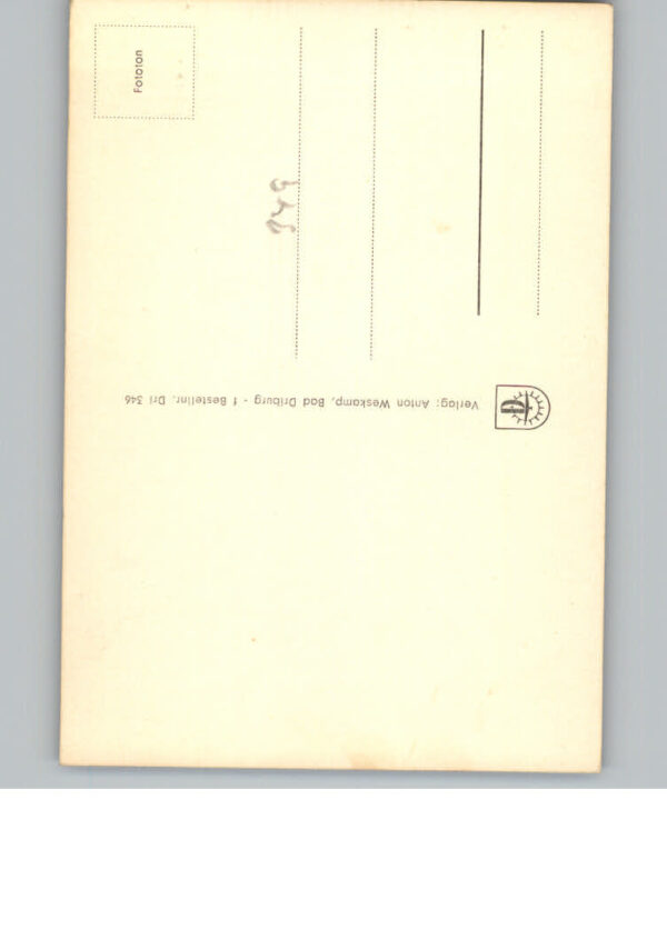 Bad  Driburg Haus Monika – Bild 2