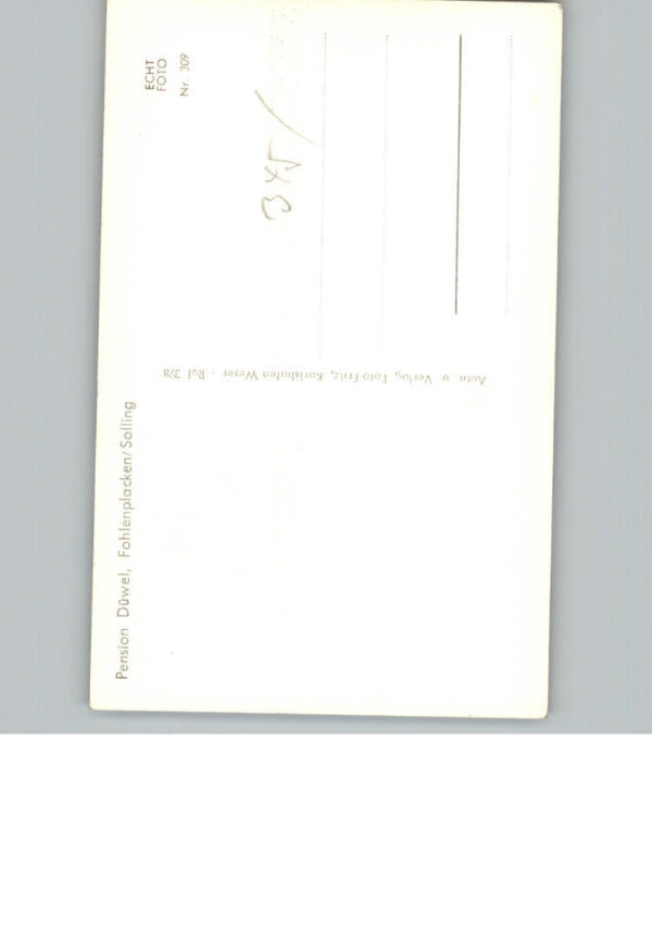 Fohlenplacken Pension Duewel – Bild 2