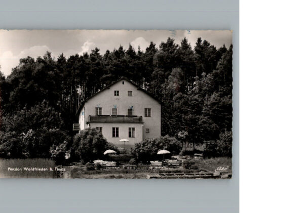 Teunz Pension Waldfrieden